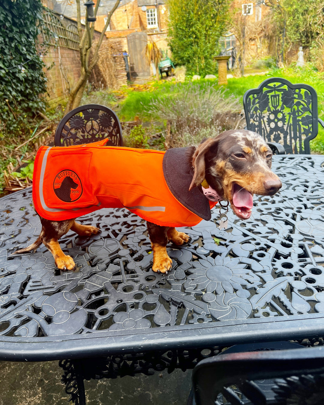 Dog Coats Waterproof