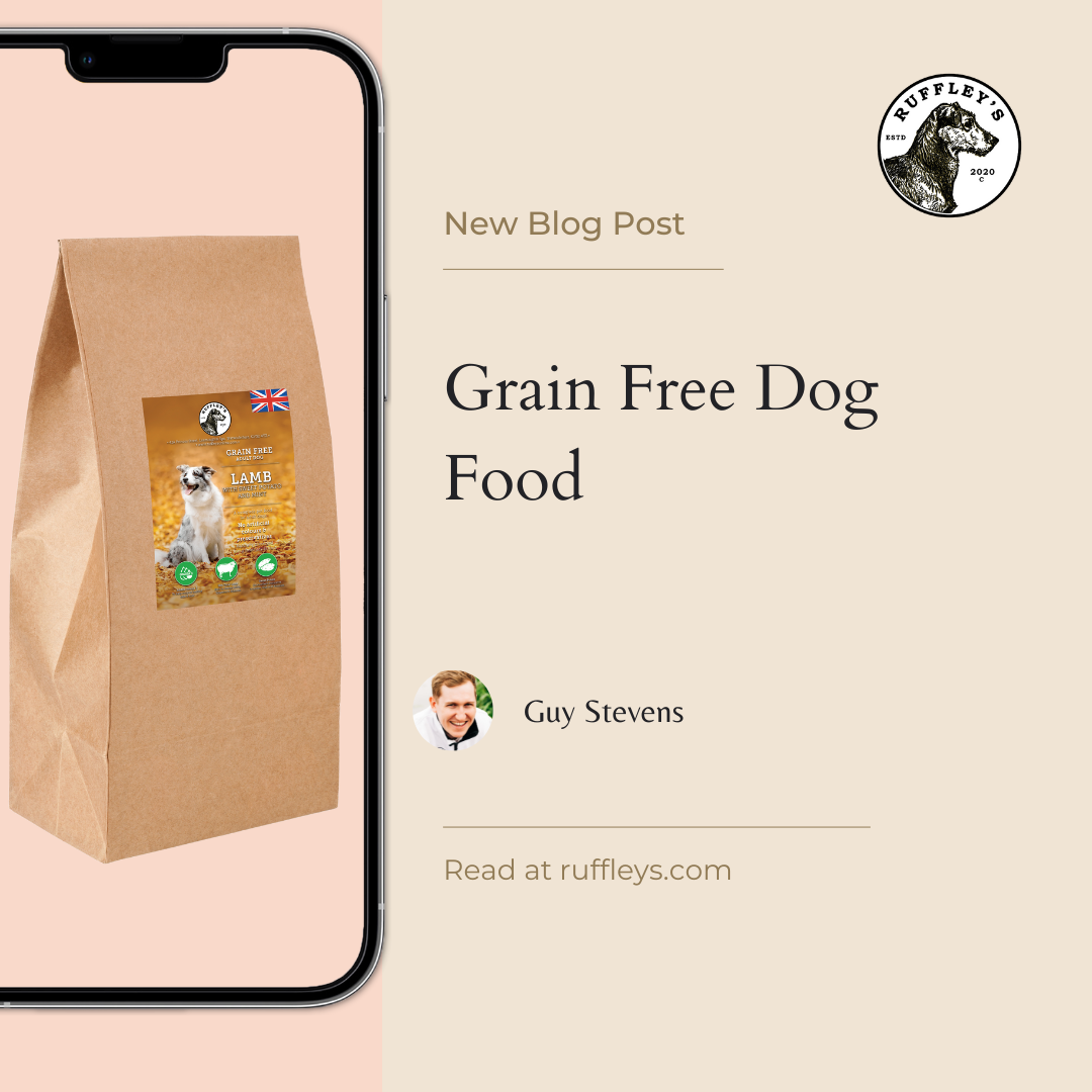 Your Guide to Grain Free Dog Food - Puppies, Adults & Senior Dogs
