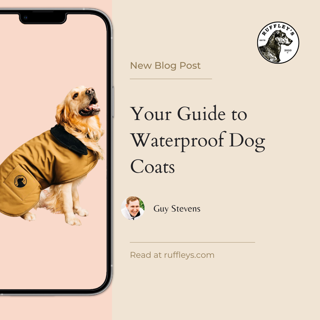 Waterproof Dog Coat Guide