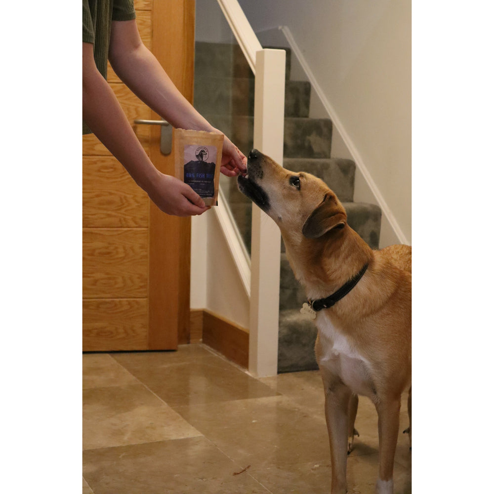 Building bond with rescue dog through treats
