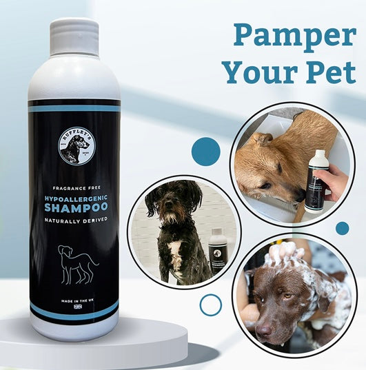 Hypoallergenic Dog Shampoo Image Washing