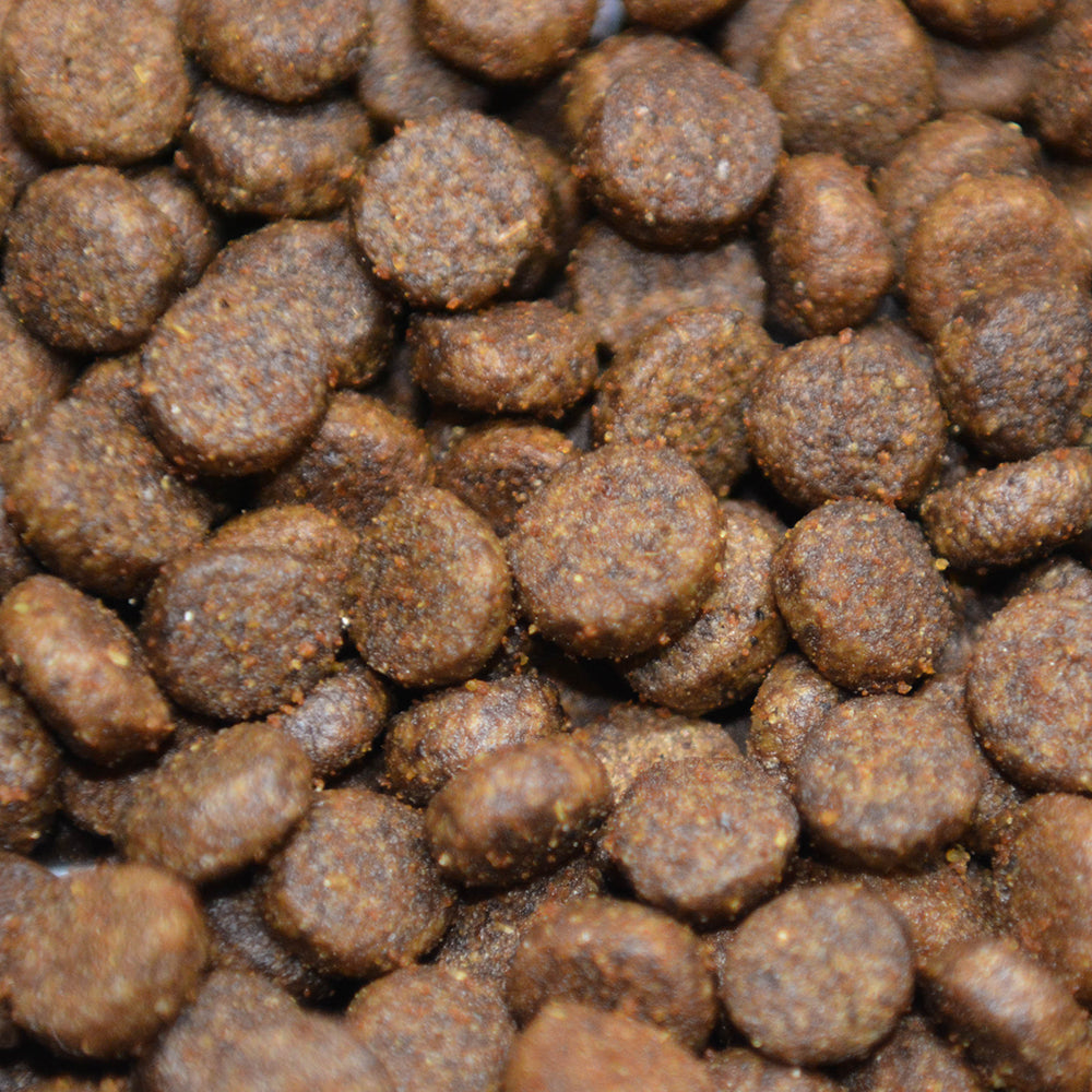 Grain Free Salmon - Small Adult Dog Food