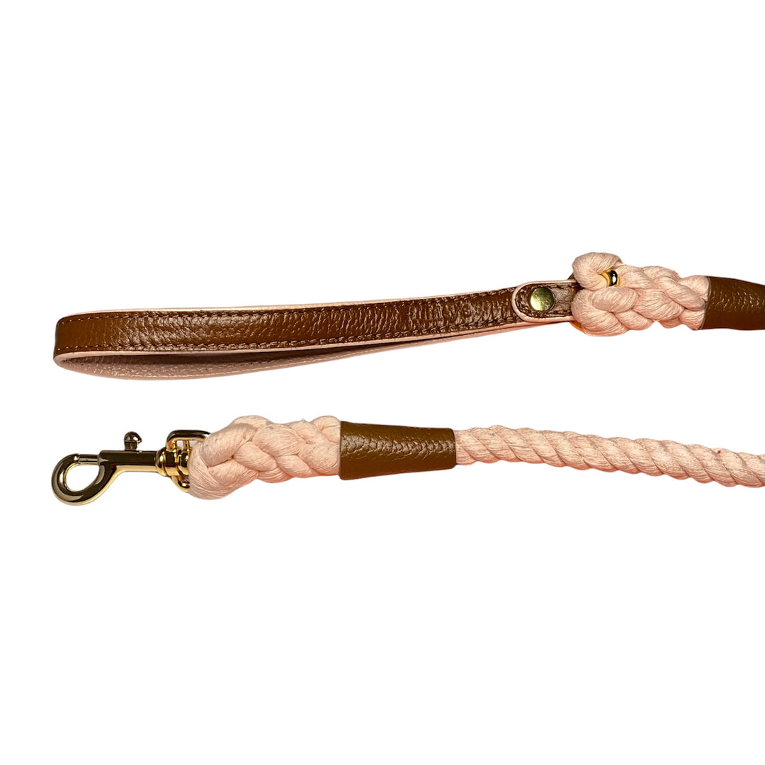 Leather and rope dog lead